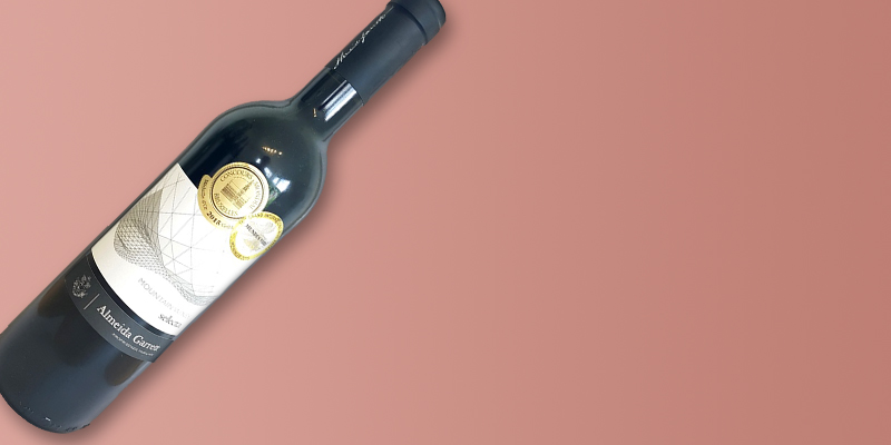 Almeida Garrett 2011