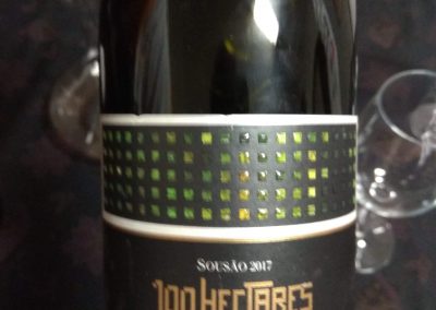 100 Hectares Sousão 2017