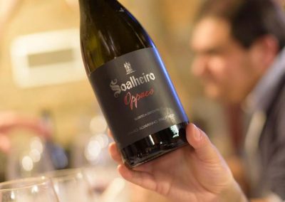 Soalheiro Tinto Opaco 2015