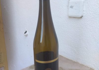 Deslumbre Escolha 2017