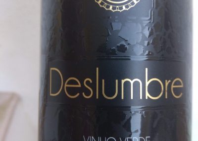 Deslumbre Escolha 2017