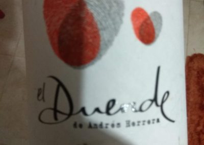 Duende Grande Reserva 2010