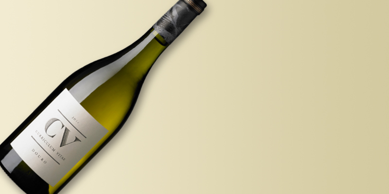 CV – Curriculum Vitae 2014