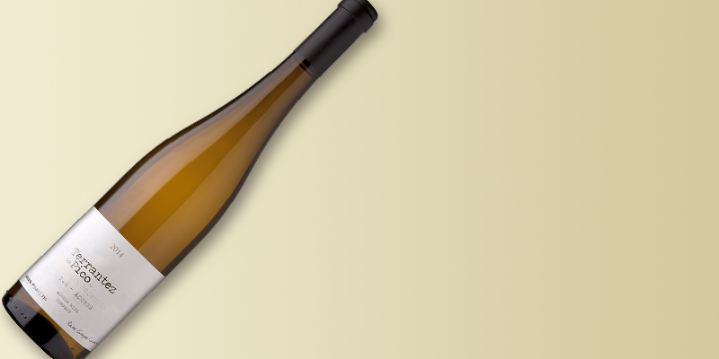 Terrantez do Pico 2014