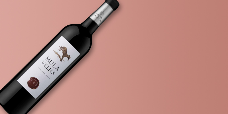 Mula Velha 2016
