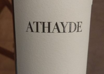 Athayde Grande Escolha 2013